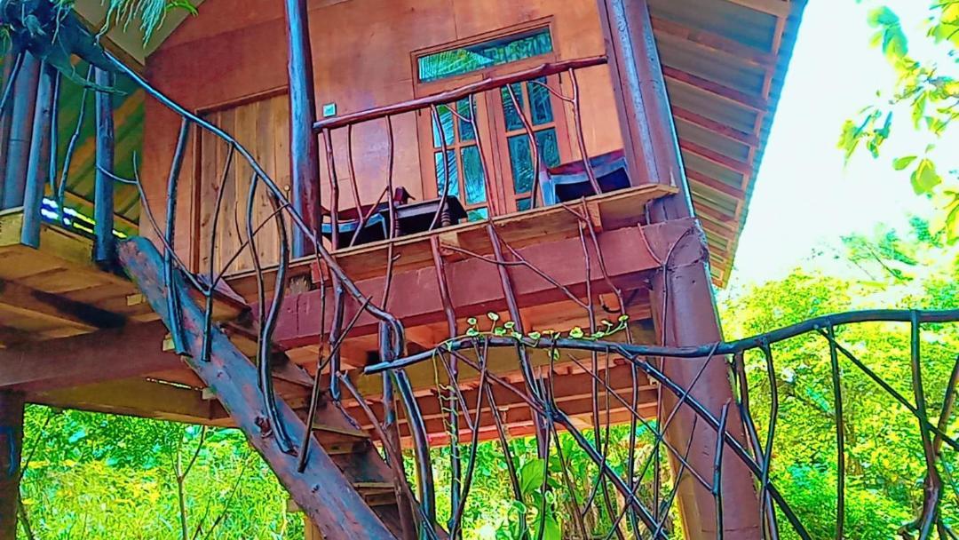 Hotel Sigiri Aliya Tree House Sigiriya Exteriér fotografie